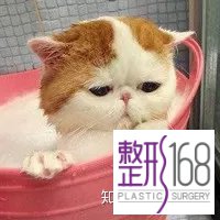 ļҽԺЧã