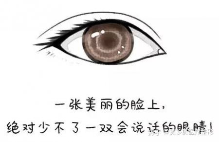 ˫Ƥ+۽ǣԽԽ
