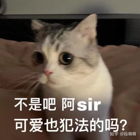 ˫Ƥҽ