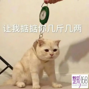 ݽõҽԺЩ
